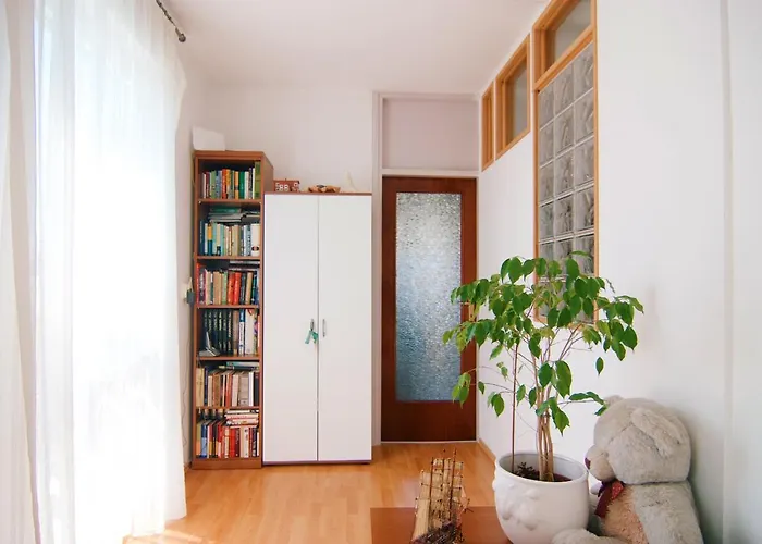 Todorovic - Macan Apartment Pula